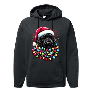 Black Labradoodle Christmas Tree Xmas Lights Doodle Dog Performance Fleece Hoodie