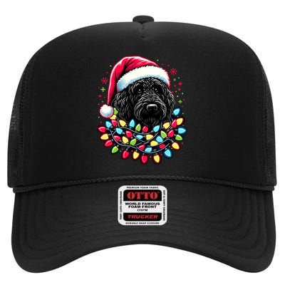 Black Labradoodle Christmas Tree Xmas Lights Doodle Dog High Crown Mesh Back Trucker Hat