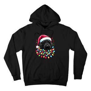 Black Labradoodle Christmas Tree Xmas Lights Doodle Dog Hoodie