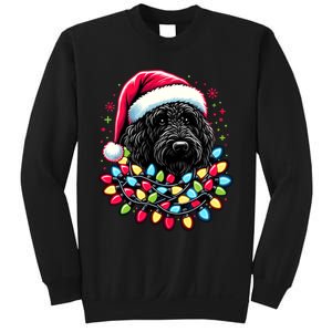 Black Labradoodle Christmas Tree Xmas Lights Doodle Dog Sweatshirt