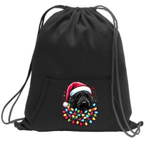 Black Labradoodle Christmas Tree Xmas Lights Doodle Dog Sweatshirt Cinch Pack Bag