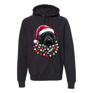 Black Labradoodle Christmas Tree Xmas Lights Doodle Dog Premium Hoodie