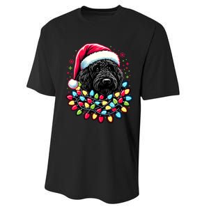 Black Labradoodle Christmas Tree Xmas Lights Doodle Dog Performance Sprint T-Shirt