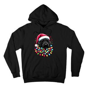 Black Labradoodle Christmas Tree Xmas Lights Doodle Dog Tall Hoodie