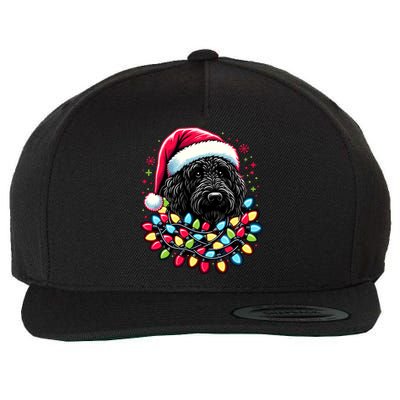 Black Labradoodle Christmas Tree Xmas Lights Doodle Dog Wool Snapback Cap