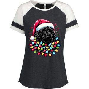 Black Labradoodle Christmas Tree Xmas Lights Doodle Dog Enza Ladies Jersey Colorblock Tee