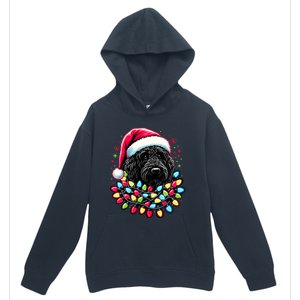 Black Labradoodle Christmas Tree Xmas Lights Doodle Dog Urban Pullover Hoodie