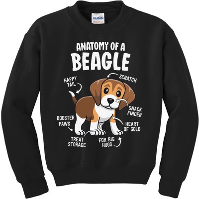 Beagle Lovers Dog Mom Funny Anatomy Of A Beagle Kids Sweatshirt