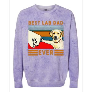 Best Lab Dad Father's Day Dad Gifts Best Labrador Dad Colorblast Crewneck Sweatshirt