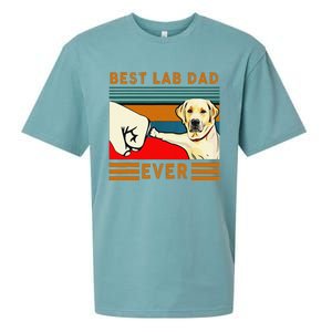 Best Lab Dad Father's Day Dad Gifts Best Labrador Dad Sueded Cloud Jersey T-Shirt