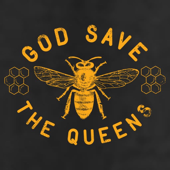 Bee Lovers Design God Save The Queen Funny Gift 11oz C Handle Ceramic Mug