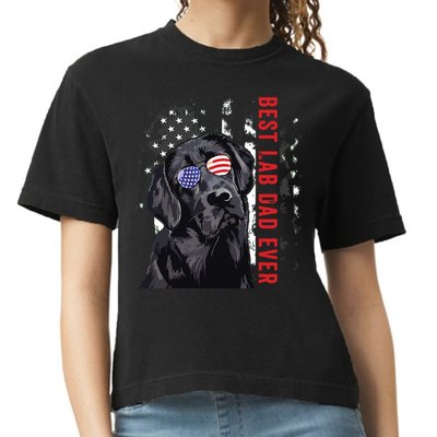Best Lab Dad Ever Labrador Dog American Flag Fathers Day Comfort Colors Boxy T-Shirt