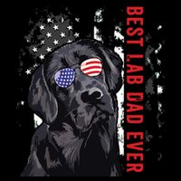 Best Lab Dad Ever Labrador Dog American Flag Fathers Day Cooling Performance Crew T-Shirt