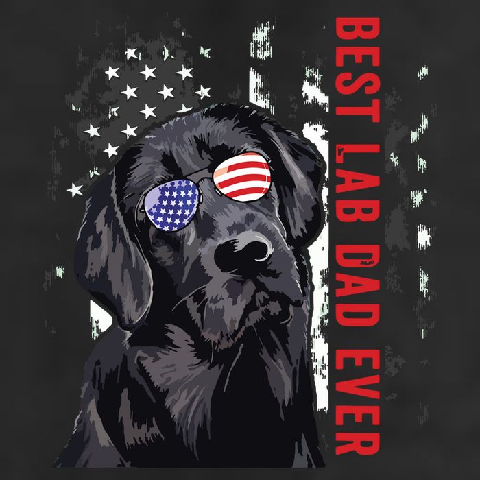 Best Lab Dad Ever Labrador Dog American Flag Fathers Day Adult Drive Performance Visor