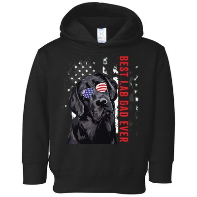 Best Lab Dad Ever Labrador Dog American Flag Fathers Day Toddler Hoodie