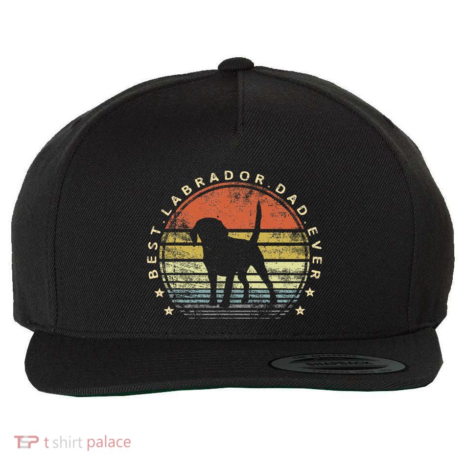 Best Labrador Dad Ever Daddy Gifts Lab Dog Lover Owner Wool Snapback Cap