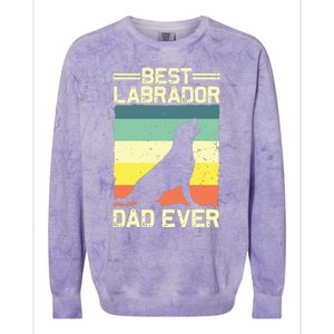 Best Labrador Design For Dad Men Labrador Retriever Lovers Colorblast Crewneck Sweatshirt