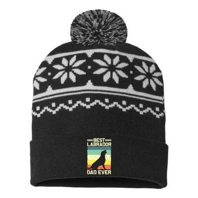 Best Labrador Design For Dad Men Labrador Retriever Lovers USA-Made Snowflake Beanie