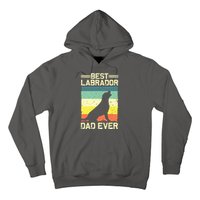 Best Labrador Design For Dad Men Labrador Retriever Lovers Hoodie