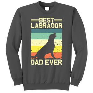 Best Labrador Design For Dad Men Labrador Retriever Lovers Tall Sweatshirt