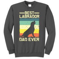 Best Labrador Design For Dad Men Labrador Retriever Lovers Tall Sweatshirt