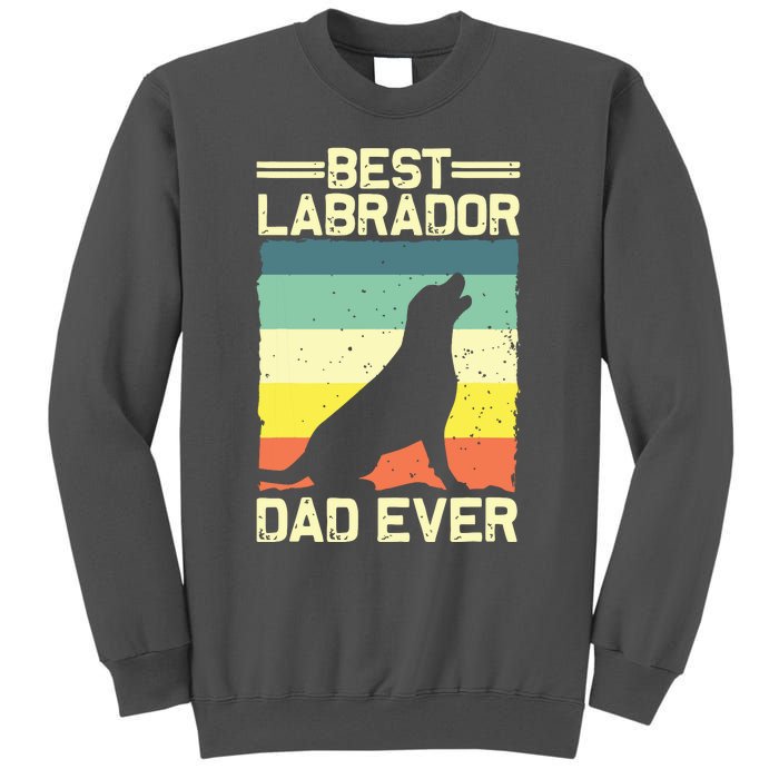 Best Labrador Design For Dad Men Labrador Retriever Lovers Tall Sweatshirt