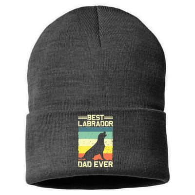 Best Labrador Design For Dad Men Labrador Retriever Lovers Sustainable Knit Beanie