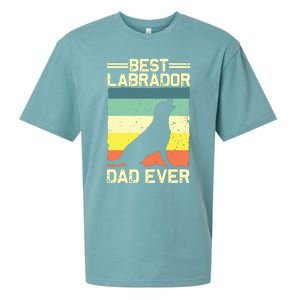 Best Labrador Design For Dad Men Labrador Retriever Lovers Sueded Cloud Jersey T-Shirt