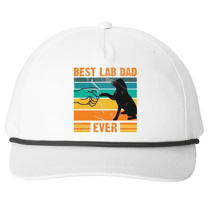 Best Lab Dad Ever Dog Lover Fathers Day Gift Snapback Five-Panel Rope Hat