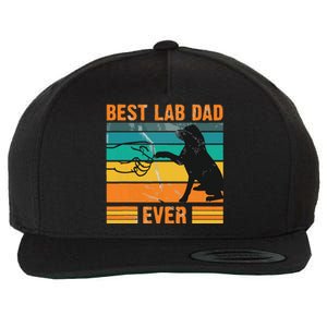 Best Lab Dad Ever Dog Lover Fathers Day Gift Wool Snapback Cap