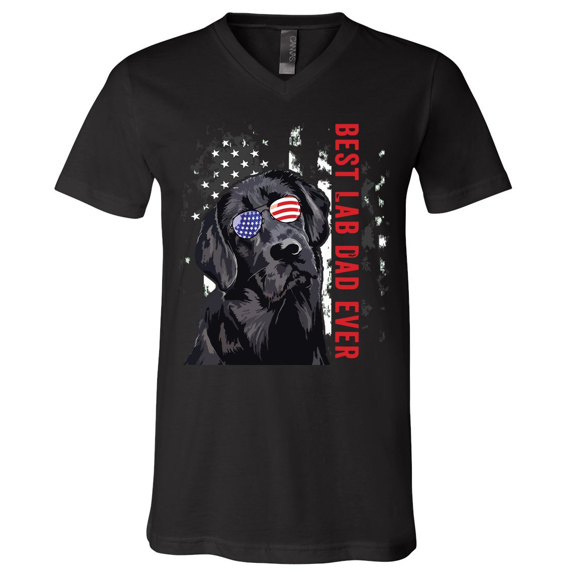 Best Lab Dad Ever Labrador Dog American Flag Fathers Day V-Neck T-Shirt