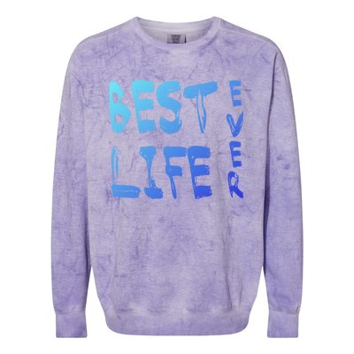 Best Life Ever For Jw JehovahS Witness Pioneer Gift Colorblast Crewneck Sweatshirt