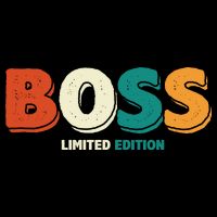 Boss Limited Edition Vintage Hoodie