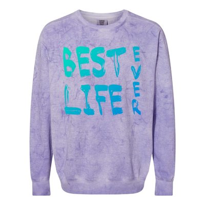 Best Life Ever For Jw JehovahS Witness Pioneer Gift Colorblast Crewneck Sweatshirt