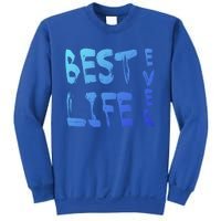 Best Life Ever For Jw JehovahS Witness Pioneer Great Gift Sweatshirt