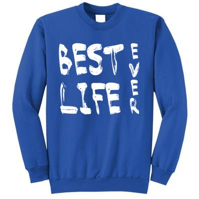 Best Life Ever For Jw JehovahS Witness Pioneer Great Gift Sweatshirt