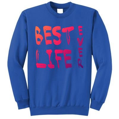 Best Life Ever For Jw JehovahS Witness Pioneer Great Gift Sweatshirt