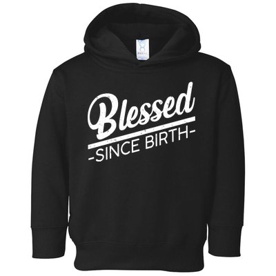 Blessed Since Birth Toddler Hoodie