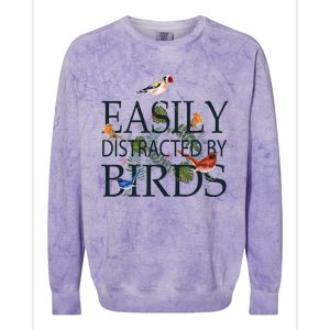 Bird Lovers Funny Gift Easily Distracted By Birds Great Gift Colorblast Crewneck Sweatshirt