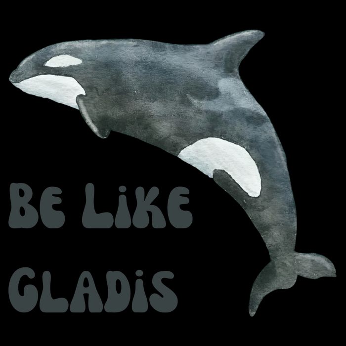 Be Like Gladis The Yacht Sinking Killer Whale Sink The Rich With White Gladys Hooded Wearable Blanket