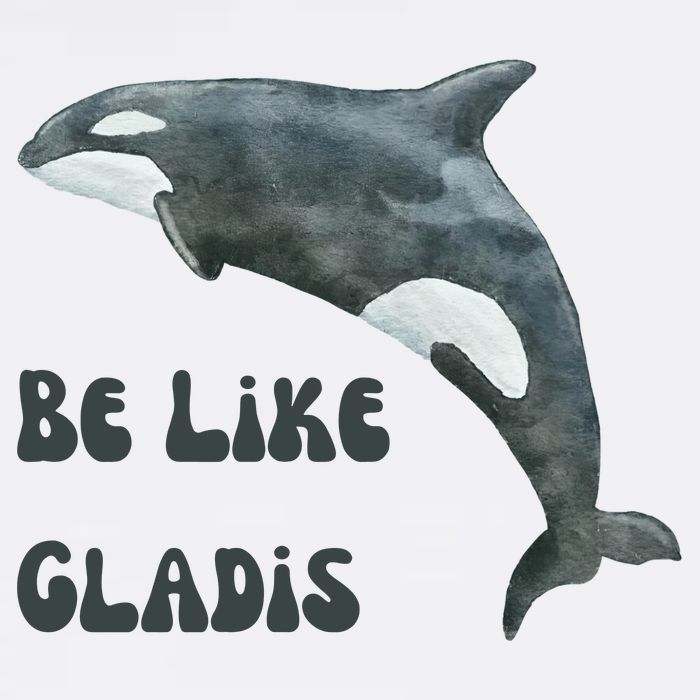 Be Like Gladis The Yacht Sinking Killer Whale Sink The Rich With White Gladys Cool Comfort Performance Bucket Hat