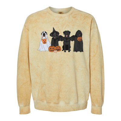 Black Labrador Halloween Colorblast Crewneck Sweatshirt