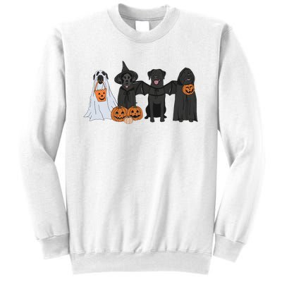 Black Labrador Halloween Sweatshirt