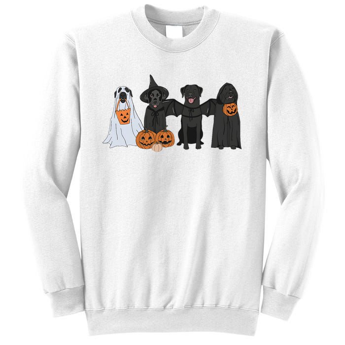 Black Labrador Halloween Sweatshirt