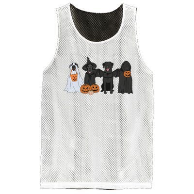 Black Labrador Halloween Mesh Reversible Basketball Jersey Tank