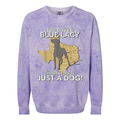 Blue Lacy Hunting Dog Texas State Dog Colorblast Crewneck Sweatshirt