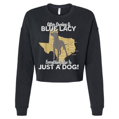 Blue Lacy Hunting Dog Texas State Dog Cropped Pullover Crew