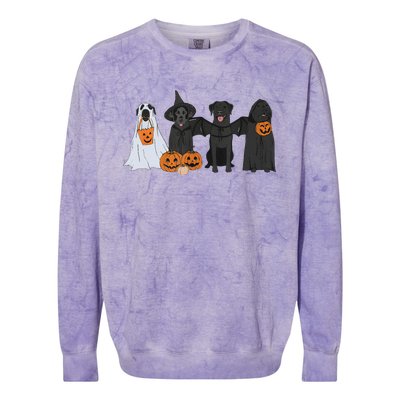 Black Labrador Halloween Ghost Pumpkin Gift Colorblast Crewneck Sweatshirt