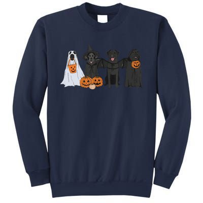 Black Labrador Halloween Ghost Pumpkin Gift Sweatshirt