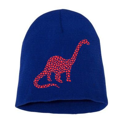 Brontosaurus Lover Heart Shape Brontosaurus Valentine's Day Cool Gift Short Acrylic Beanie